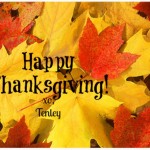 happythanksgivingleaves